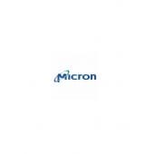 Micron