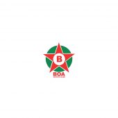 Boa Esporte Clube