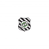 Figueirense Futebol Clube