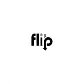 Flip Skateboards