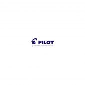 Pilot